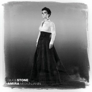 AMIRA-Silk and Stone